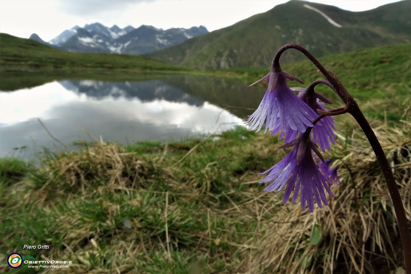 71 Alla bella pozza verso il Monte AvaroI.JPG